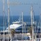 Sitges-Ferry-Port-Marina59